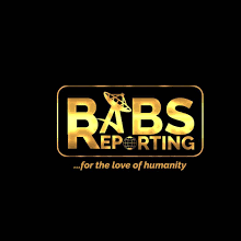 Team Babs Reporting Logo